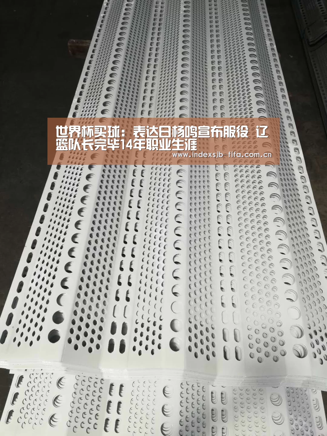 世界杯买球网站