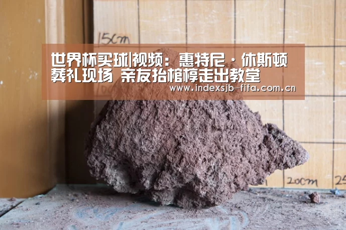 世界杯买球|视频:惠特尼·休斯顿葬礼现场 亲友抬棺椁走出教堂(图1) 世界杯买球网站