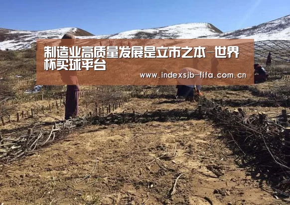 制造业高质量发展是立市之本-世界杯买球平台(图1) 世界杯买球