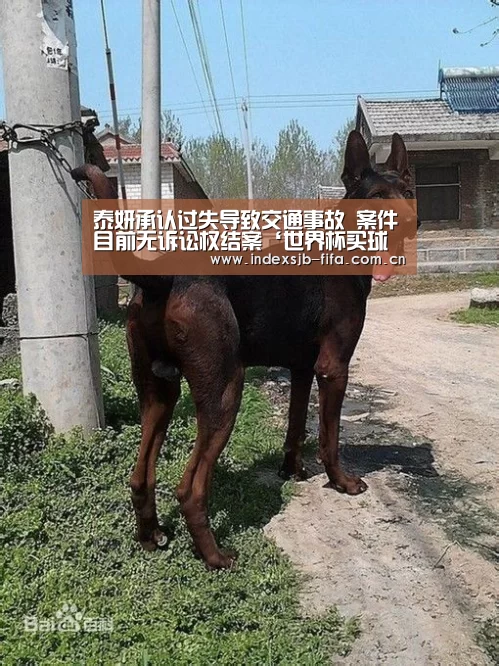 泰妍承认过失导致交通事故 案件目前无诉讼权结案‘世界杯买球网站’(图2) 世界杯买球网站