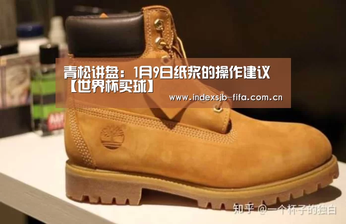 青松讲盘:1月9日纸浆的操作建议【世界杯买球】(图2) 世界杯买球平台