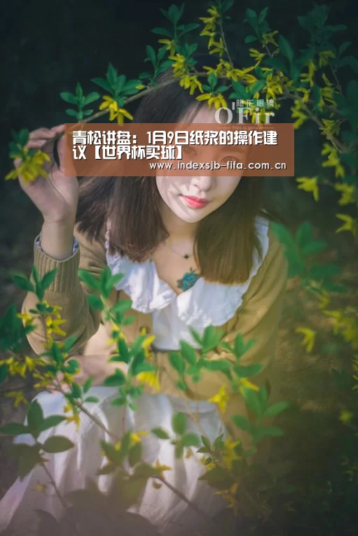 青松讲盘:1月9日纸浆的操作建议【世界杯买球】(图4) 世界杯买球平台